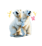 Twin polar bears（個別スタンプ：10）