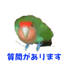 コザクラインコのうめちゃん6（個別スタンプ：10）