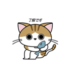 ぬこばんばすぴす（個別スタンプ：1）