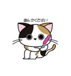 ぬこばんばすぴす（個別スタンプ：6）