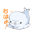 シロイルカとなかまたち（個別スタンプ：1）