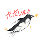シロイルカとなかまたち（個別スタンプ：4）