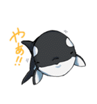 シロイルカとなかまたち（個別スタンプ：6）