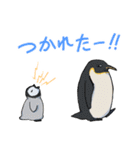シロイルカとなかまたち（個別スタンプ：7）