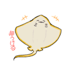 シロイルカとなかまたち（個別スタンプ：9）
