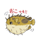 シロイルカとなかまたち（個別スタンプ：20）
