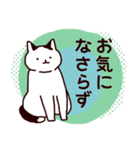 【日常】平凡なねこの暮らし【12】（個別スタンプ：12）