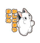 普段使いできそうな猫ちゃんのスタンプ集（個別スタンプ：4）