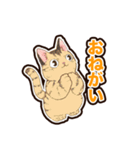 普段使いできそうな猫ちゃんのスタンプ集（個別スタンプ：7）