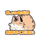 普段使いできそうな猫ちゃんのスタンプ集（個別スタンプ：10）