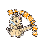 普段使いできそうな猫ちゃんのスタンプ集（個別スタンプ：11）