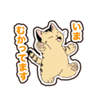 普段使いできそうな猫ちゃんのスタンプ集（個別スタンプ：17）