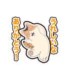 普段使いできそうな猫ちゃんのスタンプ集（個別スタンプ：22）