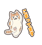 普段使いできそうな猫ちゃんのスタンプ集（個別スタンプ：23）