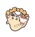 普段使いできそうな猫ちゃんのスタンプ集（個別スタンプ：28）