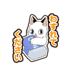 普段使いできそうな猫ちゃんのスタンプ集（個別スタンプ：30）