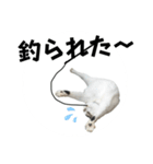 ちゃ香②（個別スタンプ：20）
