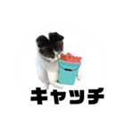 ちゃ香②（個別スタンプ：34）