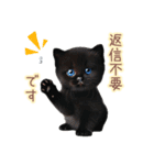 日常スタンプ 白猫と黒猫（敬語）（個別スタンプ：15）