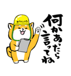 ふでしば21【安全第一】筆文字、柴犬（個別スタンプ：20）