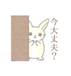 あいさつ※うさぎさん（個別スタンプ：13）