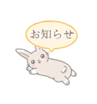 あいさつ※うさぎさん（個別スタンプ：21）