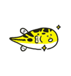 フググラフィックス（淡水フグ_01）（個別スタンプ：2）