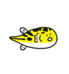 フググラフィックス（淡水フグ_01）（個別スタンプ：3）