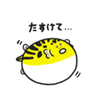 フググラフィックス（淡水フグ_01）（個別スタンプ：9）