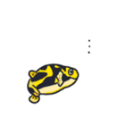 フググラフィックス（淡水フグ_01）（個別スタンプ：38）