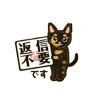 さび猫べぇちゃんの日常スタンプ（個別スタンプ：31）