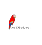 吹き出しに群がる鳥（みんなが毎日使える）（個別スタンプ：12）