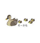 吹き出しに群がる鳥（みんなが毎日使える）（個別スタンプ：16）