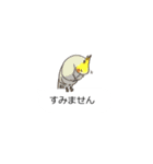 吹き出しに群がる鳥（みんなが毎日使える）（個別スタンプ：22）