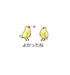 吹き出しに群がる鳥（みんなが毎日使える）（個別スタンプ：33）