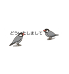 吹き出しに群がる鳥（みんなが毎日使える）（個別スタンプ：34）