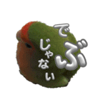 コザクラインコ ぐーちゃん メンヘラver.（個別スタンプ：6）