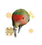 コザクラインコ ぐーちゃん メンヘラver.（個別スタンプ：15）