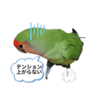 コザクラインコ ぐーちゃん メンヘラver.（個別スタンプ：19）