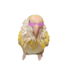 コザクラインコ ぐーちゃん メンヘラver.（個別スタンプ：21）