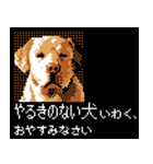 犬の軍師（8bitゲーム風）（個別スタンプ：6）