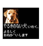 犬の軍師（8bitゲーム風）（個別スタンプ：14）