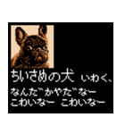 犬の軍師（8bitゲーム風）（個別スタンプ：35）