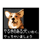 犬の軍師（8bitゲーム風）（個別スタンプ：37）