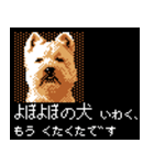 犬の軍師（8bitゲーム風）（個別スタンプ：39）