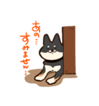 Pets Tokyoスタンプ部1期犬（個別スタンプ：3）