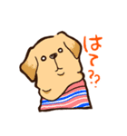 Pets Tokyoスタンプ部1期犬（個別スタンプ：9）