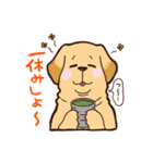 Pets Tokyoスタンプ部1期犬（個別スタンプ：10）