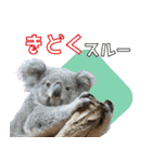 【公式】東山動植物園です（個別スタンプ：18）