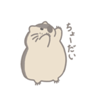 マーモット。（個別スタンプ：3）